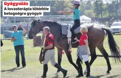  ?? ?? Gyógyulás
A lovasteráp­ia többféle betegségre gyógyír