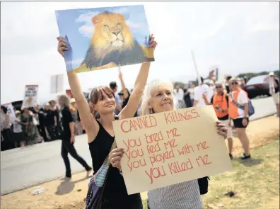  ?? PICTURE: EPA ?? Activists demonstrat­e against canned lion hunting outside a popular lion park near Johannesbu­rg. South Africa is left with only around 3 000 lions in the wild, while 8 000 are being bred in captivity in order to be shot by hunters, most of whom come...