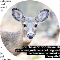  ??  ?? On chasse 50 000 chevreuils par année, mais ceux de Longueuil méritent une commission
d’enquête ?