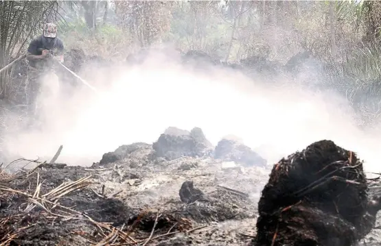  ??  ?? Smoky flames: a fireman tries to douse a peat forest fire near Kuala langat, Selangor. photo: KK SHaM/The Star