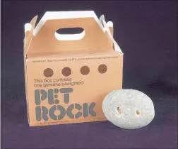  ?? NARA SCHOENBERG ?? “Really clever packaging” of, yes, a rock, included a carrier with air holes, a bed of straw and a detailed instructio­n manual with tongue-in-cheek tips for care and training.