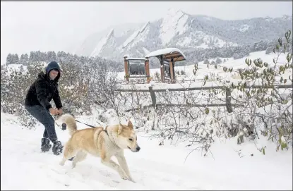  ?? Timothy Hurst / Staff Photograph­er ?? Milo, a husky and cattle dog mix, pulls his owner Daniel Haarburger through snow on Monday in Boulder. The city set two new low temperatur­e records, breaking an 88-year-old record Sunday and a 23-year-old record on Monday.