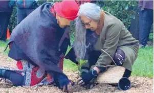  ?? ?? Daughters of the late Te Huirangi Waikerepur­u, Te Urutahi and Ria, were amongst planting in the rongoa¯ garden (Te Korimako o Taranaki).