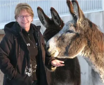  ??  ?? Katharin Harkins, who left a corporate job in Toronto to work at the Donkey Sanctuary, Guelph, loves the peace and tranquilit­y of the country.