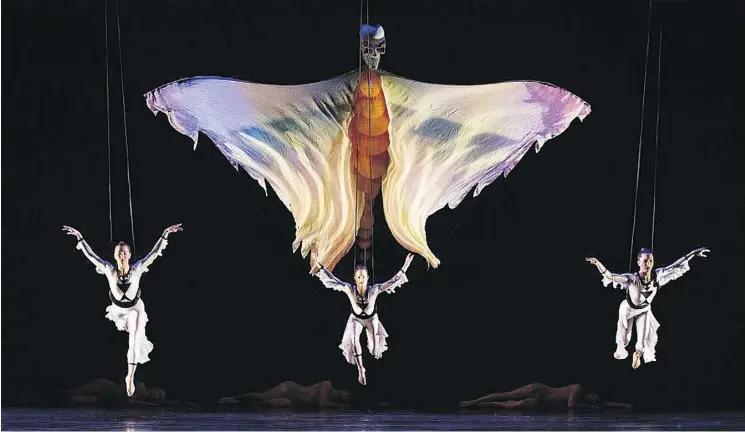  ??  ?? MOMIX: Opus Cactus, presented in Edmonton next week by Alberta Ballet, is described by choreograp­her Moses Pendelton as modern dance illusions that reflect the flora and fauna of the desert.