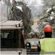  ??  ?? Even government officials did not know who was responsibl­e for keeping tree branches away from power lines after heavy snowfall left many parts of the country without electricit­y for several days in February.