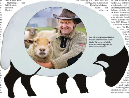  ?? RP-FOTO: STEPHAN KÖHLEN ?? Der Hildener Landwirt Markus Hanten streichelt sein Schaf Linda. Die anderen Schafe schauen im Hintergrun­d zu.