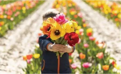  ?? © photo news ?? ‘We spreken af dat moeder dit jaar tussen 11 en 17 mei bloemen krijgt.’