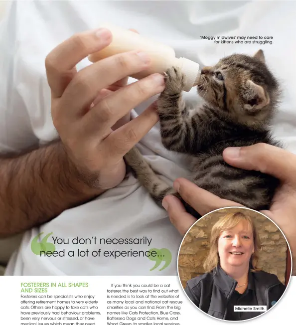  ??  ?? ’Moggy midwives’ may need to care for kittens who are struggling.
Michelle Smith.