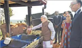  ?? PTI PHOTO ?? ■ Prime Minister Narendra Modi pets a cow after he donated 200 cows under 'Girinka' (one cow per poor family programme), at Rweru Model village in Rwanda, on Tuesday. Also seen is Rwandan President Paul Kagame (right).