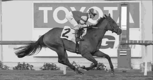  ?? BENOIT PHOTO ?? Analyze It, shown winning the Grade 3 Cecil B. DeMille Stakes on Nov. 26, will make his 3-year-old debut in the Transylvan­ia.