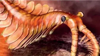  ??  ?? Anomalocar­is, also known as the “strange shrimp,” is the protagonis­t in Tang Cheng’s most popular video “Strange Shrimp: The Story of the Old Imperator”