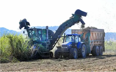  ?? PHOTO: FILE ?? FARMING FUTURE: Making plans for an agricultur­al business is vital to create an outlook on where the family farm is heading down the track.