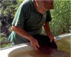  ??  ?? Doug from the Buller Gorge Adventure and Heritage Park demonstrat­es the art of gold panning.