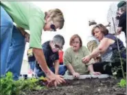  ?? FILE PHOTO ?? Lori Lodge, far right, director of developmen­t at the Northern Middlesex YMCA in Middletown, plants vegetable seeds with other volunteers at the Community Health Center’s rooftop garden in 2014. She is the new chairwoman of the Middlesex United Way...