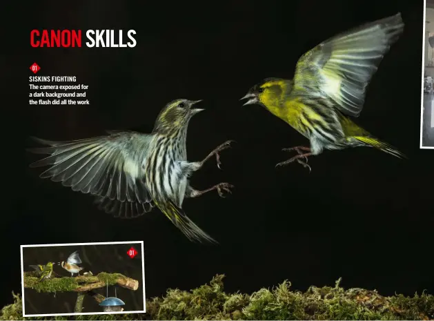  ??  ?? 01 siskins Fighting The camera exposed for a dark background and the flash did all the work 01