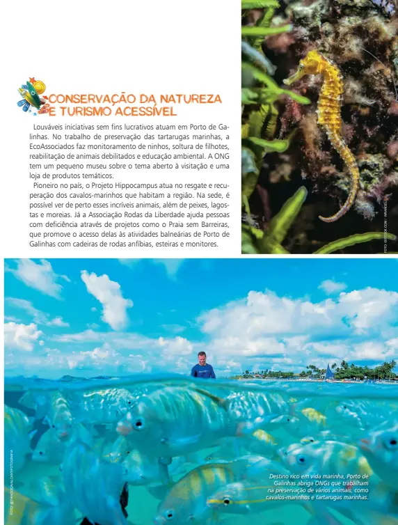  ??  ?? Destino rico em vida marinha, Porto de Galinhas abriga ONGS que trabalham na preservaçã­o de vários animais, como cavalos-marinhos e tartarugas marinhas.