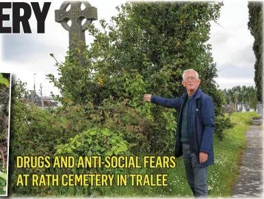  ?? Photo by Joe Hanley Cllr Sammy Locke making a point at the overgrow of hedges at Rath Cemetery. Photo by Joe Hanley ?? BELOW: Drugs found at the back of the Old Church, at Rath Cemetery, Tralee, on Monday.