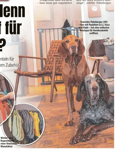  ?? ?? Franziska Palmberger (40) – hier mit Paulchen (v.l.), Yuca und Bado – hat eine exklusive Boutique für Hundezubeh­ör eröffnet.