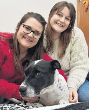  ?? PHOTO: GREGOR RICHARDSON ?? Love and care . . . Caitlin (left) and Georgia Thompson comfort Lou, an injured dog shot with an arrow in Southland.