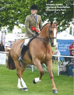  ??  ?? Amateur hunter champion Redemption Ground (Gary Parr)