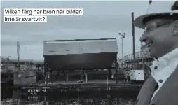  ??  ?? Vilken färg har bron när bilden inte är svartvit?