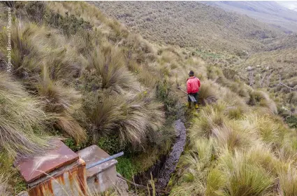  ??  ?? Abajo. Minga para limpiar las vertientes del páramo de Coripugllo, de donde viene el agua para la comuna Chorrera Mirador, a los pies del Chimborazo. Derecha. Las quebradas reciben todo lo que se escurre de los cultivos. Sector de Cumbijín, Cotopaxi.