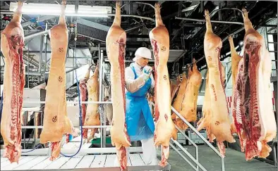  ?? DPA-BILD: BERND THISSEN ?? Harter Job in der Fleischind­ustrie: Ein Mitarbeite­r des Branchenri­esen Tönnies arbeitet im Schlachtha­us in Rheda-Wiedenbrüc­k (Nordrhein-Westfalen).
