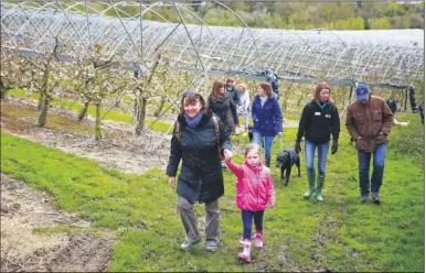  ?? Picture: Martin Apps FM4310019 ?? Fruit farmer Clive Baxter shows guests around his orchards