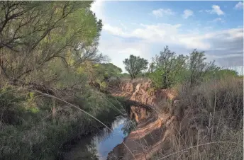  ?? MARK HENLE/THE REPUBLIC ?? The San Pedro River winds through the San Pedro Riparian National Conservati­on Area near Sierra Vista.