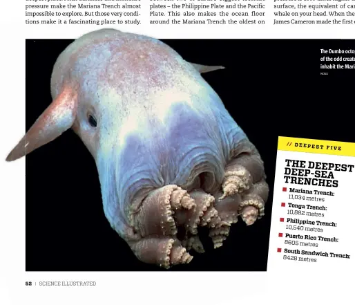  ?? NOAA ?? The Dumbo octopus is one of the odd creatures that inhabit the Mariana Trench.