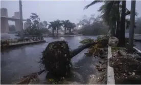  ?? Photograph: Victor Ruiz Garcia/AP ?? Debris left by Hurricane Delta in Cancún. Video footage showed flailing palm trees being battered by the wind, driving rain, damaged hotels, felled trees and buildings.