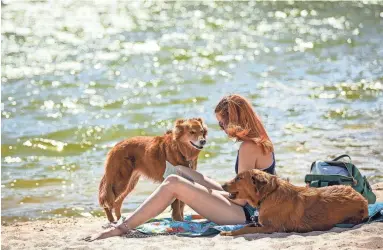  ?? MONICA D. SPENCER/THE REPUBLIC ?? Nikki Tankersley reads a book in the afternoon sun with her dogs, Dakota and Juniper, on the north shore of Tempe Town Lake.