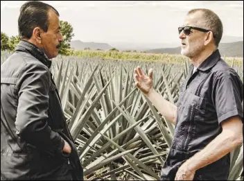  ?? PHOTO COURTESY OF THE NEW YORK TIMES ?? Tequila Ocho co-founders Carlos Camarena (left) and Tomas Estes confer at an agave field in Los Altos de Jalisco, Mexico. Estes, who helped to transform the image of tequila from frathouse rotgut to a fine spirit that could sit on a shelf alongside cognac and single malt whisky, died April 25 at age 75.