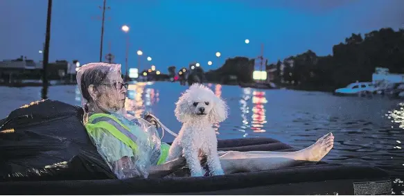  ?? Foto: AP ?? Čekání a rezignace Obyvatelka Houstonu pluje se psem na nafukovací matraci a čeká na záchranu.