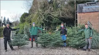  ??  ?? Eric Milton and Gavin Mutch, both in black jackets, take delivery of a stockpile of Christmas trees from Jackie Kemp and Gordon Boyle of Forestry and Land Scotland.