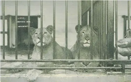 Major shift in role of zoos - PressReader