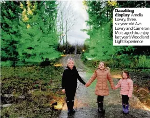  ??  ?? Dazzliing display Amelia Lowry, three, six-year-old Ava Lowry and Cameron Moir, aged six, enjoy last year’s Woodland Light Experience