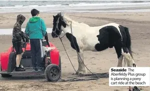  ??  ?? Seaside The Aberfeldy Plus group is planning a pony cart ride at the beach