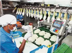  ??  ?? Top Glove’s headcount is at a comfortabl­e level today at 2.7 million pieces of gloves per worker.