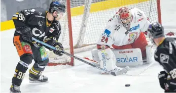  ?? FOTO: FELIX KÄSTLE ?? Gleich zappelt der Puck im Netz: David Zucker überwindet Landshuts Goalie Jaroslav Hübl zum 2:0.