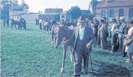  ?? FOTO: ARCHIV WINFRIED ASSFALG ?? Fohlenmark­t in Riedlingen im Jahr 1962.