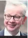  ??  ?? Michael Gove