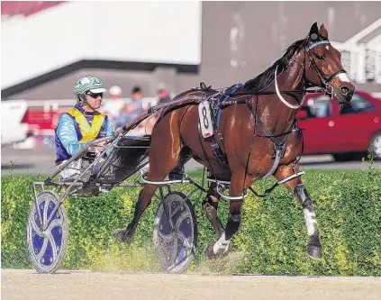  ?? PHOTO: SUPPLIED ?? Ready to race . . . Thefixer, to be driven by Bob Butt, is one of the leading contenders in today’s Invercargi­ll Cup.