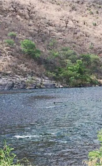  ??  ?? La Junta de Seguridad en el Transporte concluyó el lunes 23 que la nave cayó el viernes 20, a las 16, en el lecho del rio Juramento, a 75 kilómetros de Salta, piloteada por Brito.