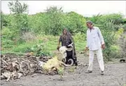  ?? ARUN SHARMA/HT PHOTO ?? Dalits at the area in Una where they engage in cleaning cow carcasses.