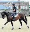  ?? PHOTO: GETTY IMAGES ?? Jock Paget and his Middlemarc­hbred horse Clifton Promise.