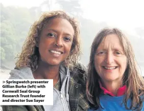  ??  ?? > Springwatc­h presenter Gillian Burke (left) with Cornwall Seal Group Research Trust founder and director Sue Sayer