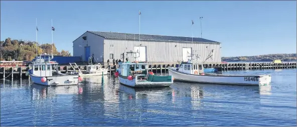  ?? SUEANN MUSICK/SALTWIRE NETWORK ?? Fishing boats surround a survey boat that was forced to return to Pier C in Pictou Tuesday by fishermen opposed to Northern Pulp’s plans to pump treated effluent into local waters.