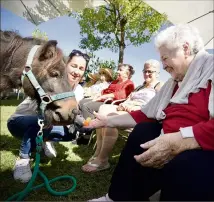  ??  ?? À l’image de Marie-Annette, les résidents du groupe Senectis ont pu donner à manger aux deux poneys présents à la résidence Les Figuiers. Sourires garantis. (Photo Clément Tiberghien)